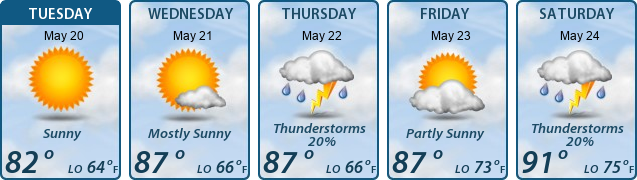5-Day Forecast
