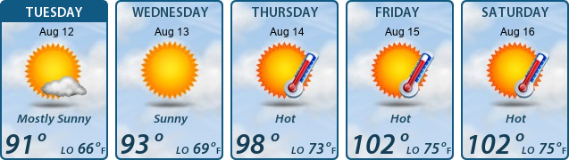 5-Day Forecast