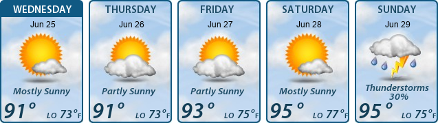 5-Day Forecast