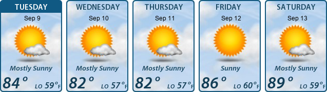 5-Day Forecast